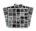 Modern Black & Gold Marble Mosaic Peel And Stick Vinyl Tiles (24 Tiles/Set)